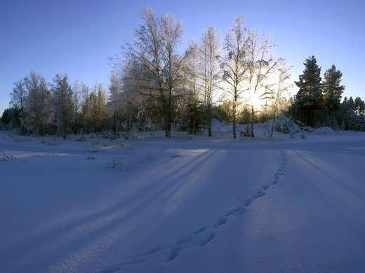 30447 (a): :1024x768